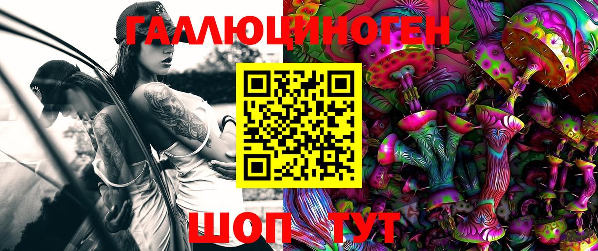 Псилоцибиновые грибы Cubensis Моздок