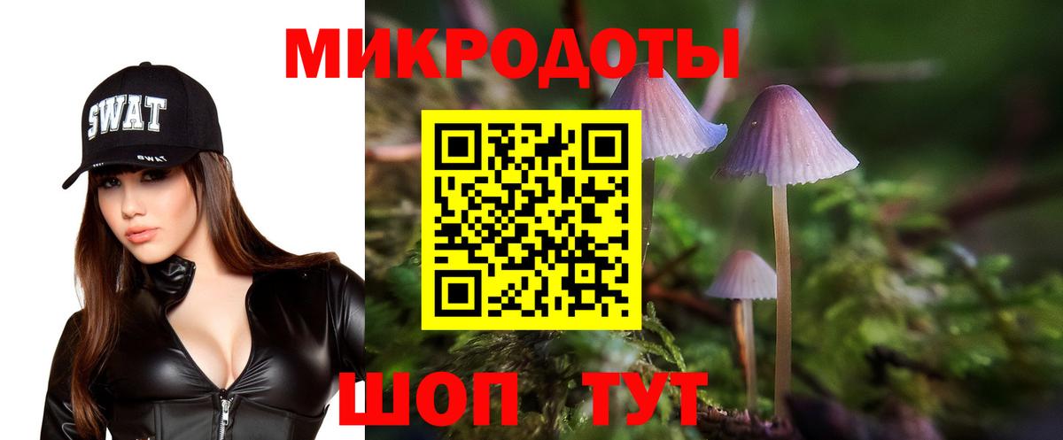 Моздок  Псилоцибиновые грибы Psilocybine cubensis  Вход с VPN  Псилоцибиновые грибы MAGIC MUSHROOMS 